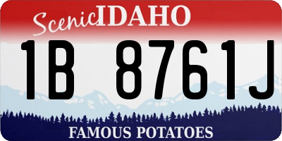 ID license plate 1B8761J