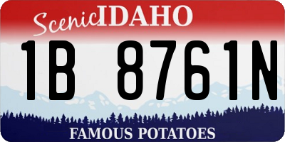 ID license plate 1B8761N