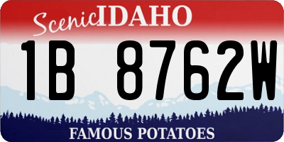 ID license plate 1B8762W