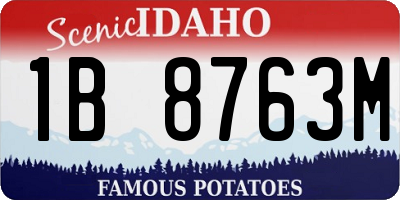 ID license plate 1B8763M