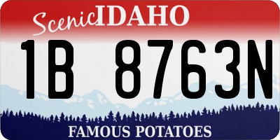 ID license plate 1B8763N