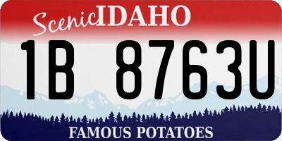ID license plate 1B8763U