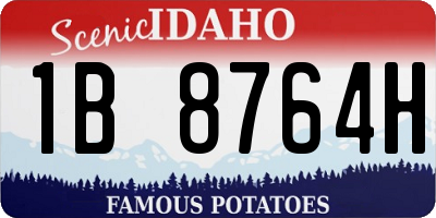 ID license plate 1B8764H
