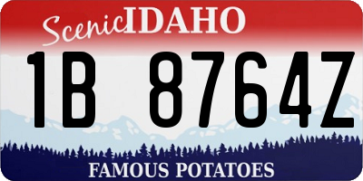 ID license plate 1B8764Z