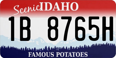 ID license plate 1B8765H