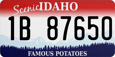 ID license plate 1B8765O
