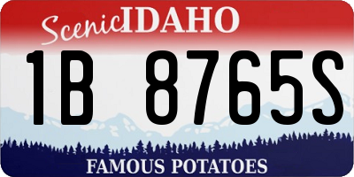 ID license plate 1B8765S