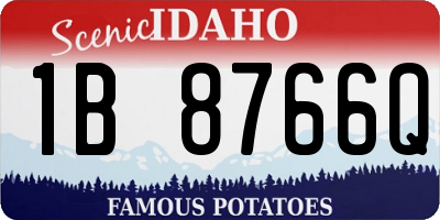 ID license plate 1B8766Q