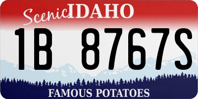 ID license plate 1B8767S
