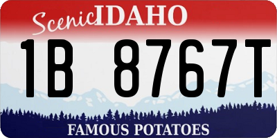ID license plate 1B8767T