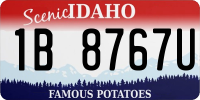 ID license plate 1B8767U