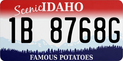 ID license plate 1B8768G