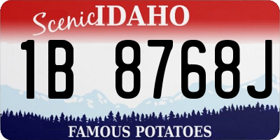 ID license plate 1B8768J