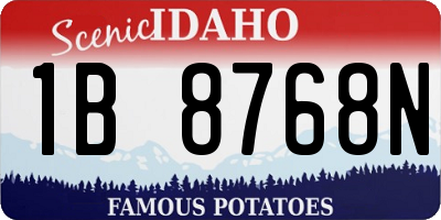 ID license plate 1B8768N