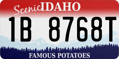 ID license plate 1B8768T