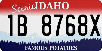 ID license plate 1B8768X