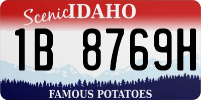 ID license plate 1B8769H