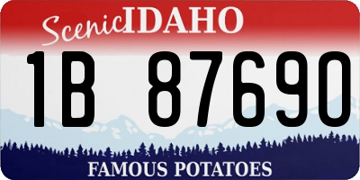 ID license plate 1B8769O