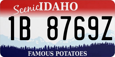 ID license plate 1B8769Z