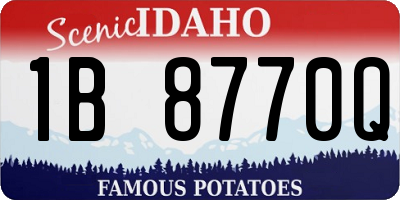 ID license plate 1B8770Q
