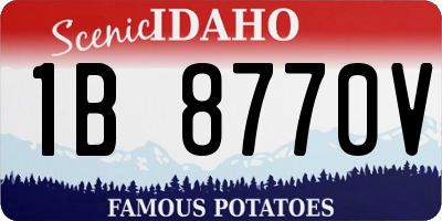 ID license plate 1B8770V