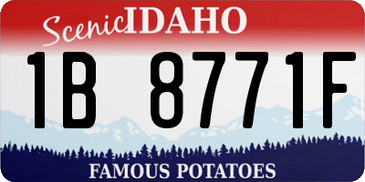 ID license plate 1B8771F