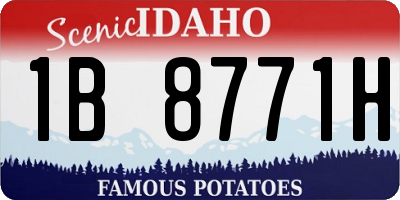 ID license plate 1B8771H