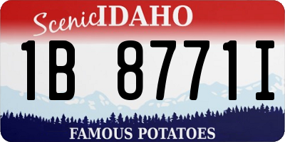 ID license plate 1B8771I