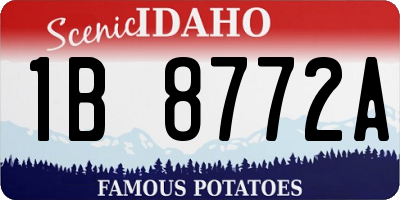 ID license plate 1B8772A