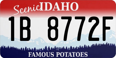 ID license plate 1B8772F