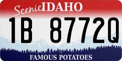 ID license plate 1B8772Q