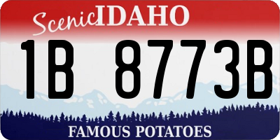 ID license plate 1B8773B