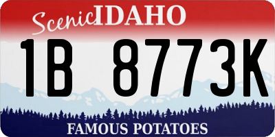 ID license plate 1B8773K