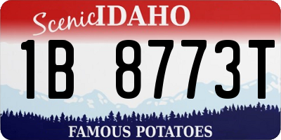 ID license plate 1B8773T