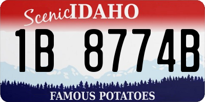 ID license plate 1B8774B