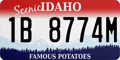 ID license plate 1B8774M