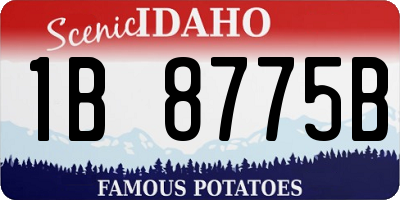 ID license plate 1B8775B