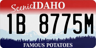 ID license plate 1B8775M