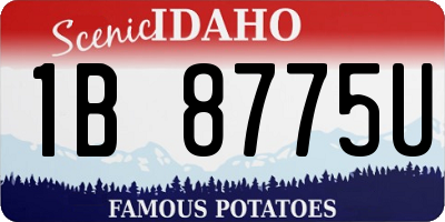 ID license plate 1B8775U