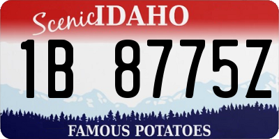 ID license plate 1B8775Z