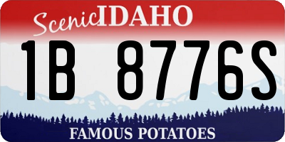 ID license plate 1B8776S