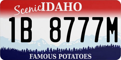 ID license plate 1B8777M