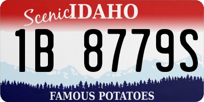 ID license plate 1B8779S