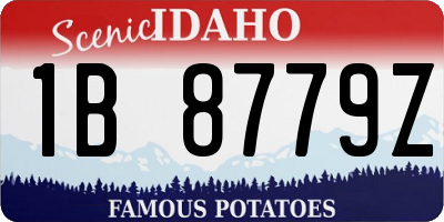 ID license plate 1B8779Z