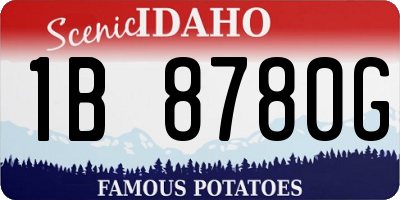 ID license plate 1B8780G