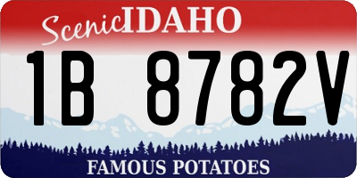 ID license plate 1B8782V