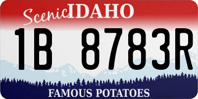 ID license plate 1B8783R