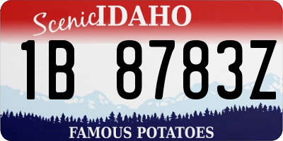 ID license plate 1B8783Z