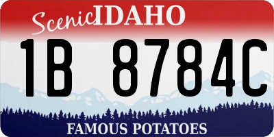 ID license plate 1B8784C