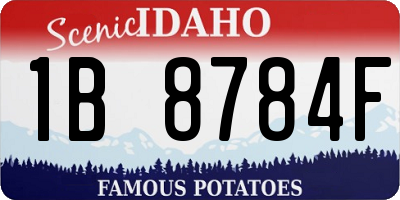 ID license plate 1B8784F